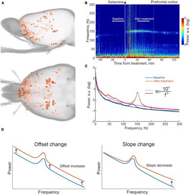 Systems-level analysis of local field potentials reveals differential effects of lysergic acid diethylamide and ketamine on neuronal activity and functional connectivity